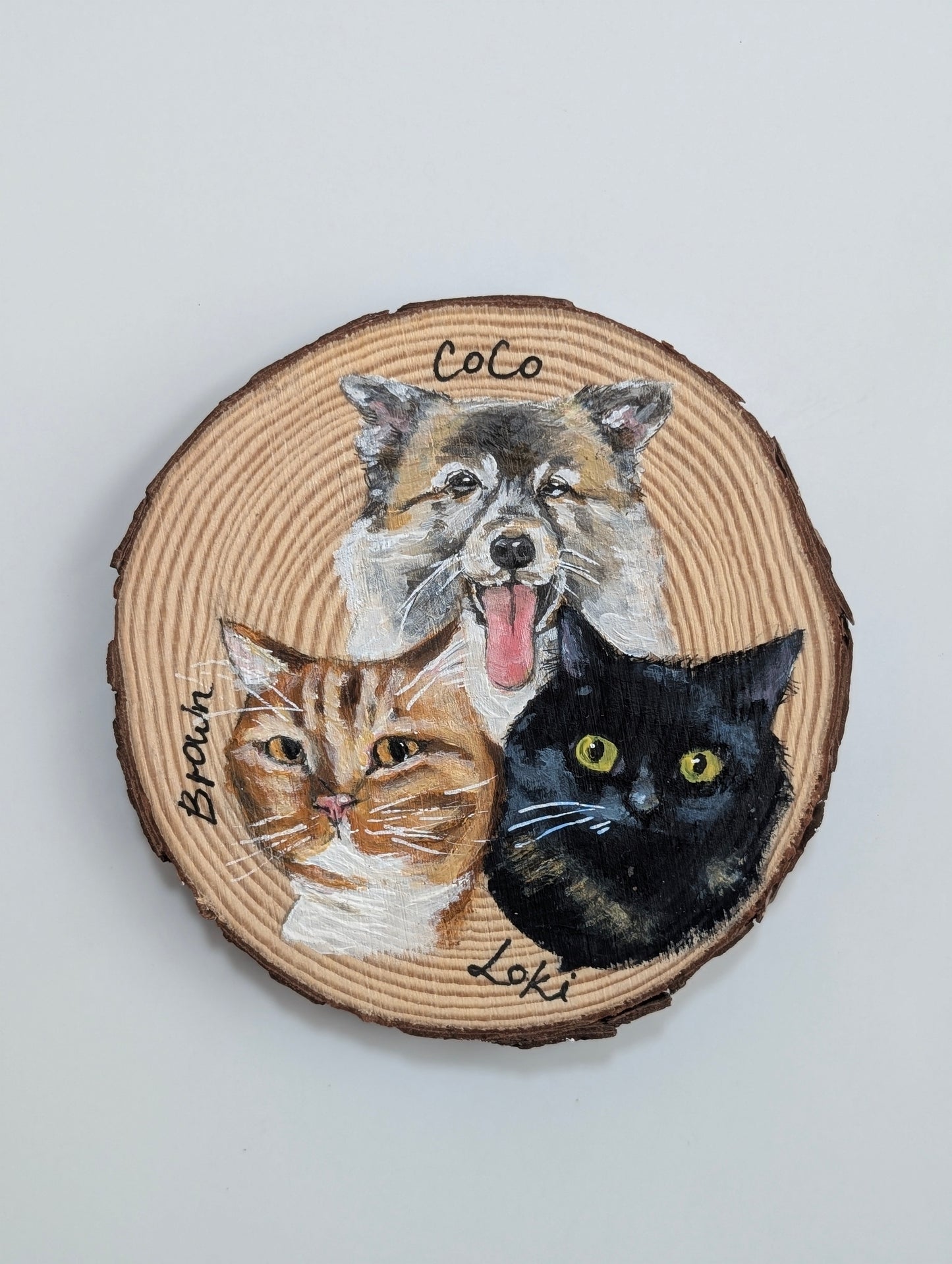 Pet Portrait on Bark
