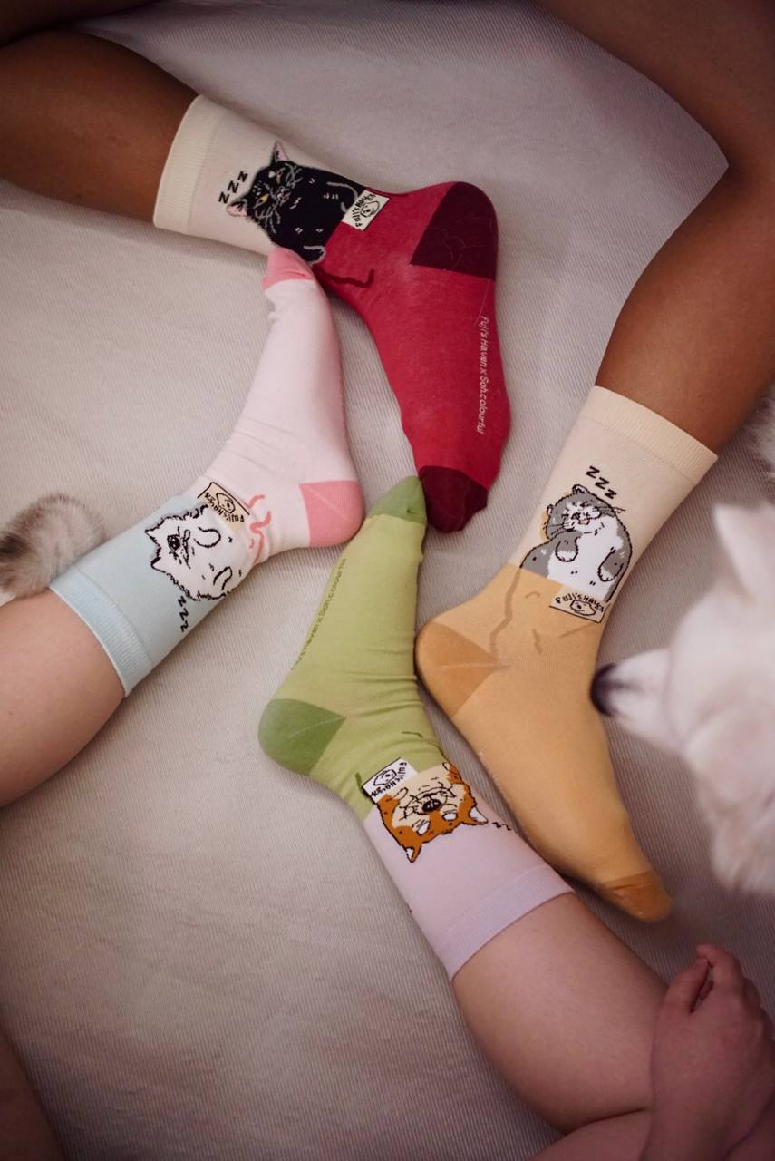 "Let's Sleep in Socks" - 2 for $20