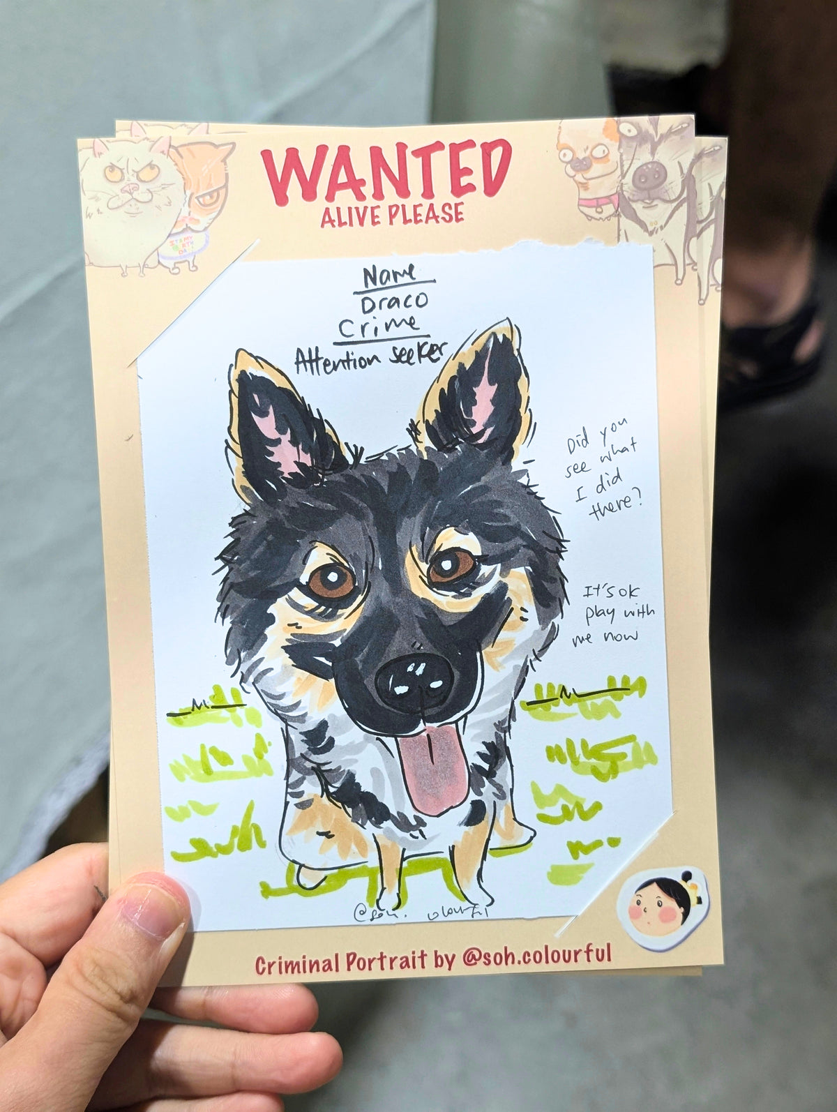 Criminal Pet Caricature, i draw your pets as WANTED criminals