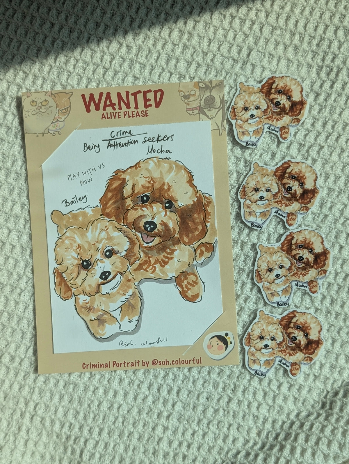 Criminal Pet Caricature, i draw your pets as WANTED criminals